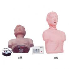  半身心肺復(fù)蘇訓(xùn)練模擬人KAS-CPR170  簡(jiǎn)易型